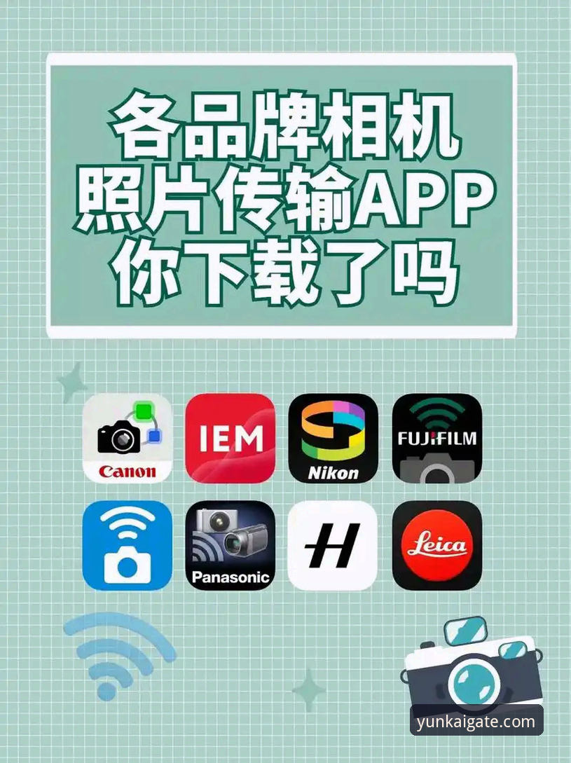 云开体育App下载对比：新手该选哪个版本？哪个入口最靠谱？